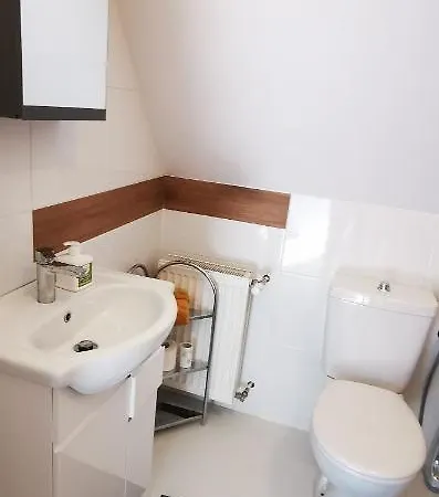 Klimatyczne Z Widokiem Na Gory Sowie Apartment