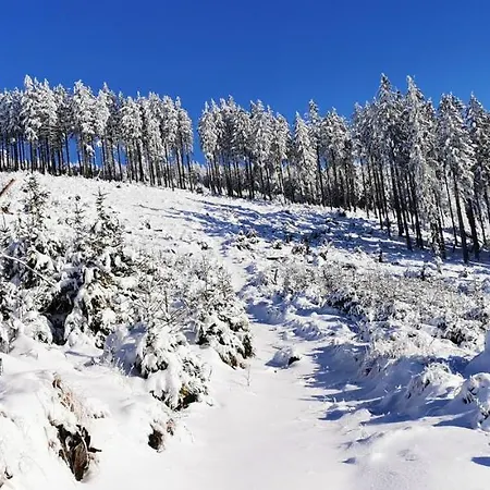 Klimatyczne Z Widokiem Na Gory Sowie *