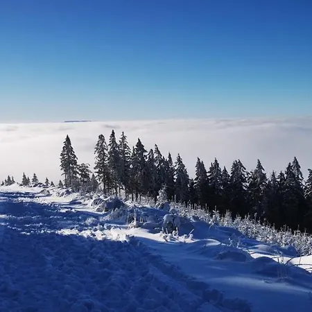 Daire Klimatyczne Z Widokiem Na Gory Sowie Bielawa (Dzierzoniow)