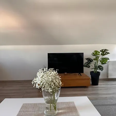 Apartment Luna - Klimatyczne Na Poddaszu - Gory Sowie - Jezioro Bielawa (Dzierzoniow)