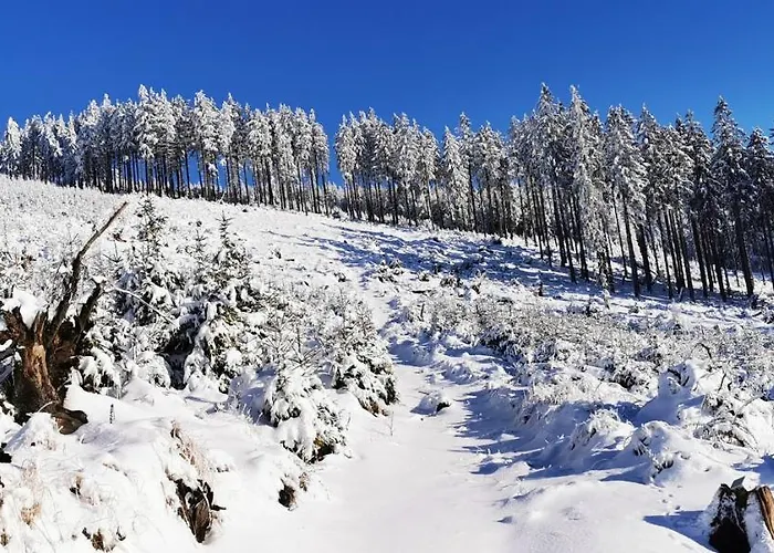 Klimatyczne Z Widokiem Na Gory Sowie *