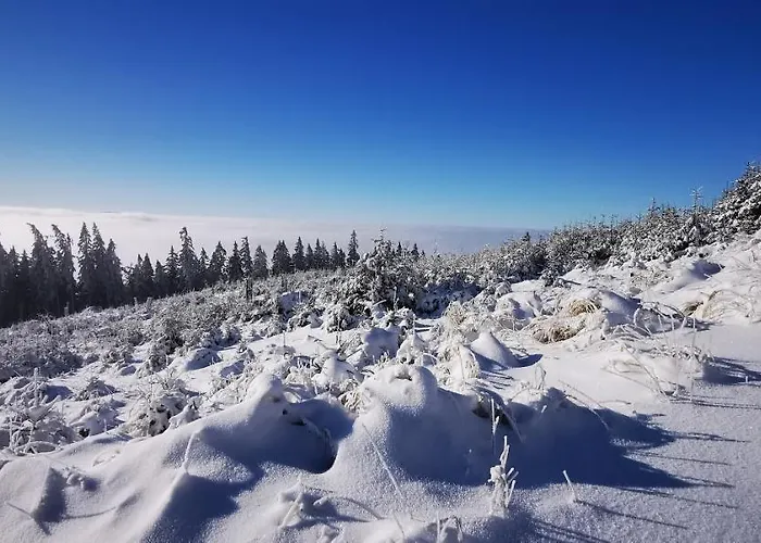 Lejlighed Klimatyczne Z Widokiem Na Gory Sowie