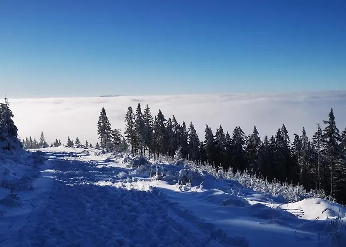 Lejlighed Klimatyczne Z Widokiem Na Gory Sowie Bielawa (Dzierzoniow)