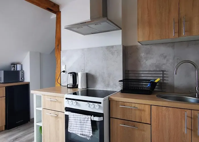 Lejlighed Klimatyczne Z Widokiem Na Gory Sowie *